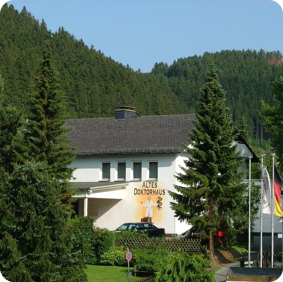 Altes Doktorhaus - Hotel Garni Willingen  Extérieur photo