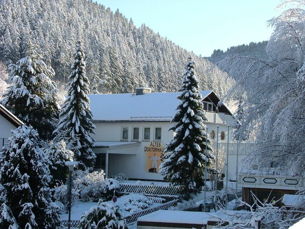 Altes Doktorhaus - Hotel Garni Willingen  Extérieur photo